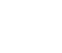 Toronto Blue Jays